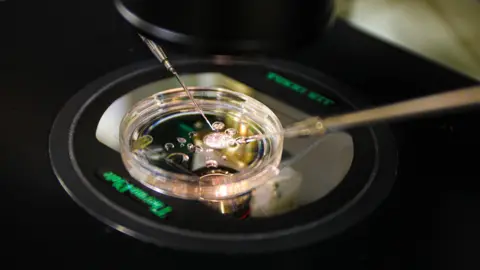 Groundbreaking Breakthrough: Scientists Create Human Embryos from Skin DNA