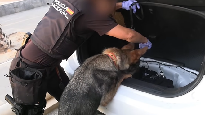 Spanish Police Arrest 78 in Massive Smuggling Network Bust