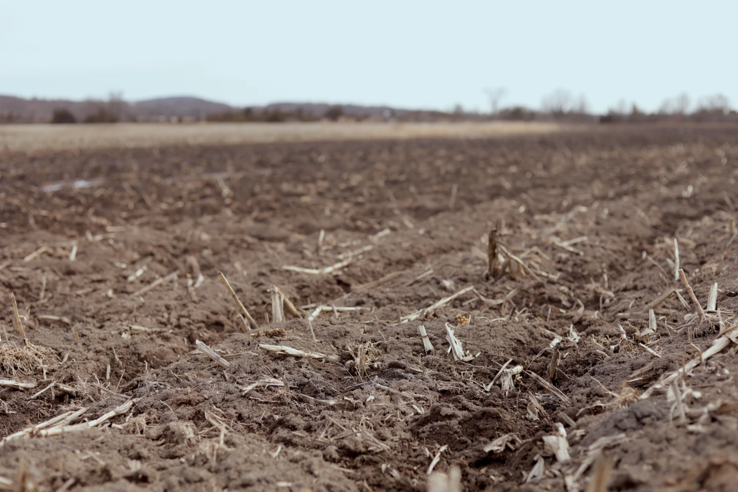 Iowa's Deteriorating Water Quality: A Consequence of Climate Change
