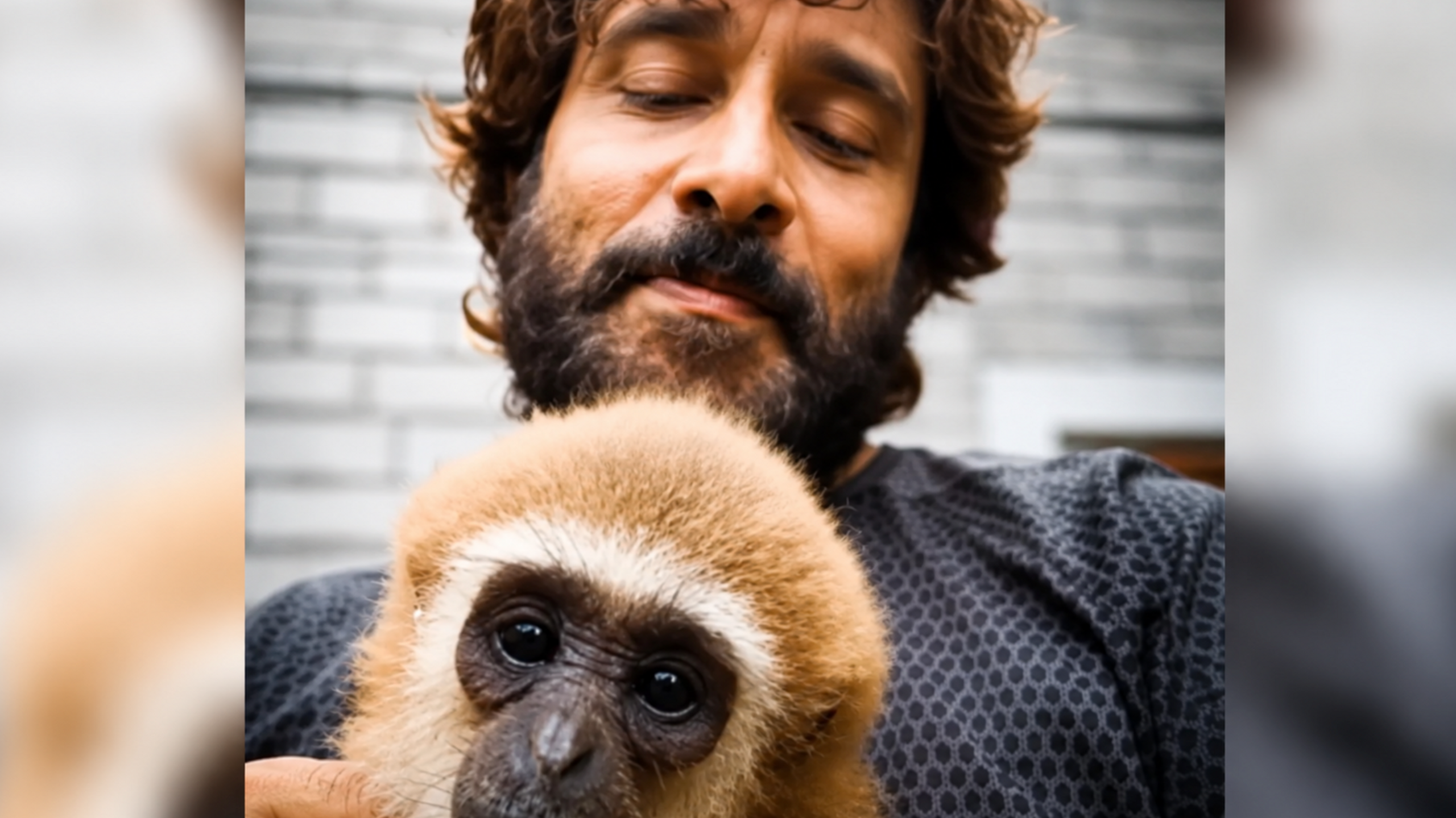 Actor’s gibbon clip triggers wildlife probe