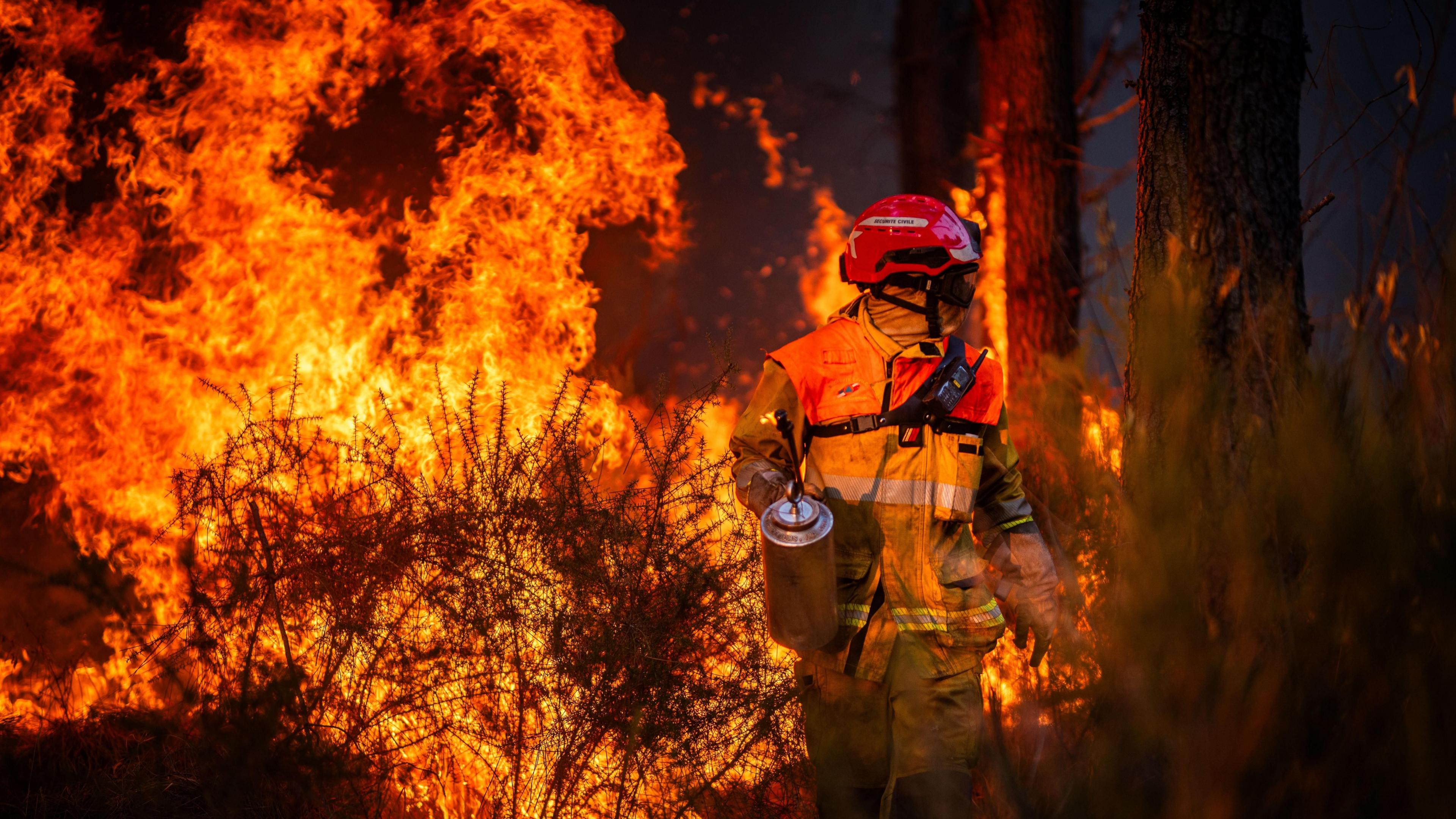 Hundreds arrested over French wildfires – Who’s to blame?