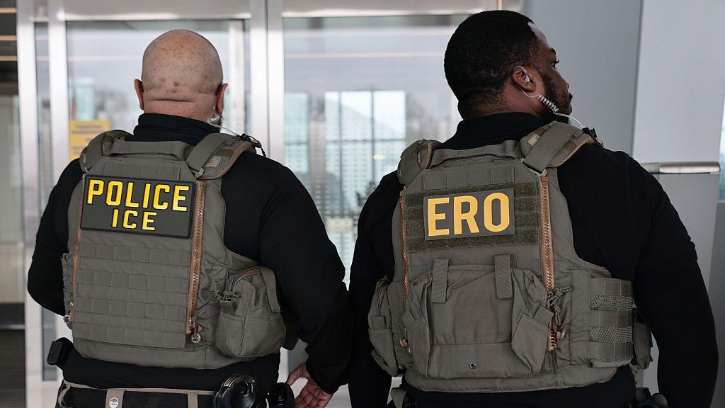 ICE to equip agents with shock‑generating gloves