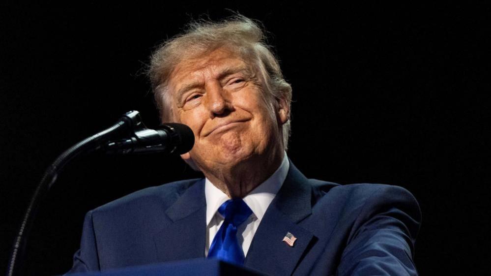 Trump promises $5,000 to every adult American if Republicans win midterms – legal and fiscal questions loom