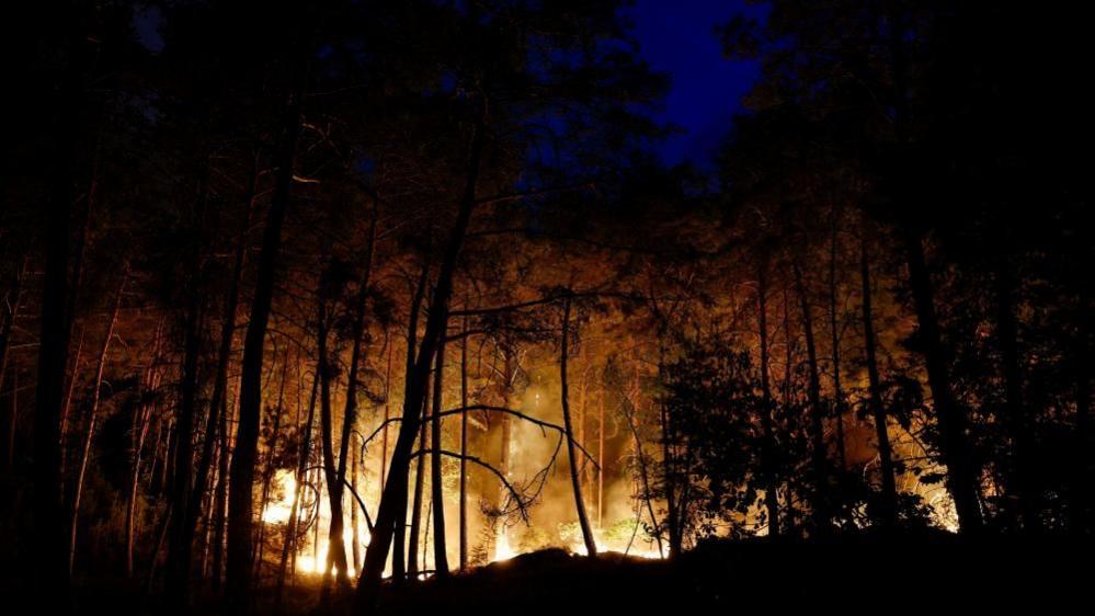 Wildfire Near Paris Forces Aviation Response and Disrupts Transport