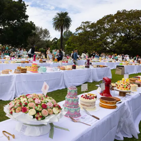 Sweet Celebration: Sydney Hosts a Delightful Cake Picnic
