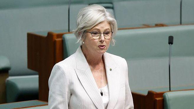 Victorian MP Helen Haines recovers after alleged car attack