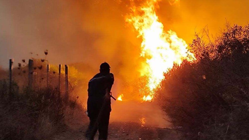 Algeria President Calls for Death Penalty After Deadly Wildfires