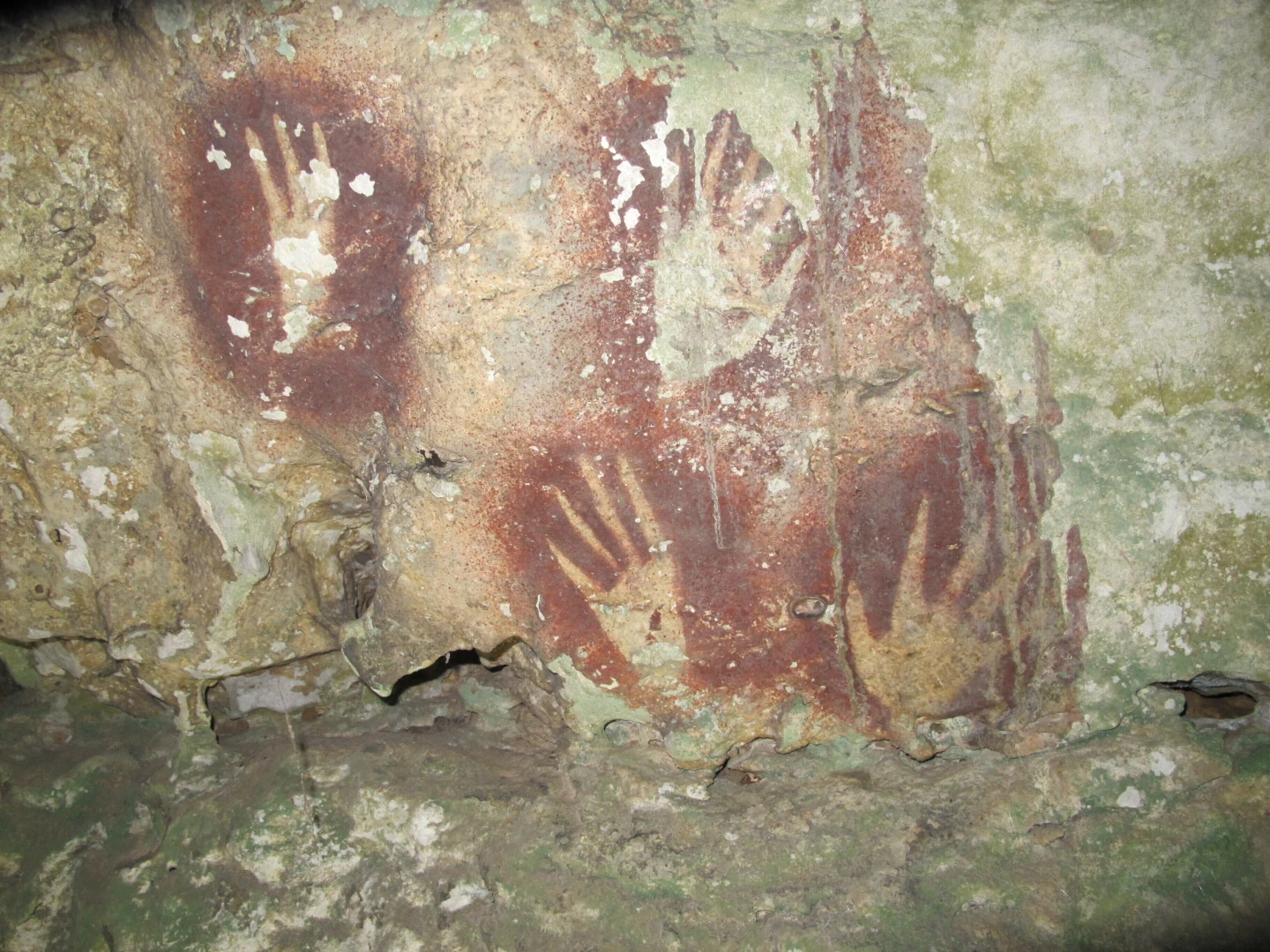 Ancient Handprints Discovered in Indonesian Cave May Be World's Oldest Rock Art