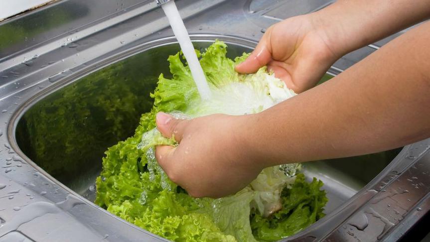 Michigan Suffered First Two Deaths in U.S. Cyclospora Outbreak