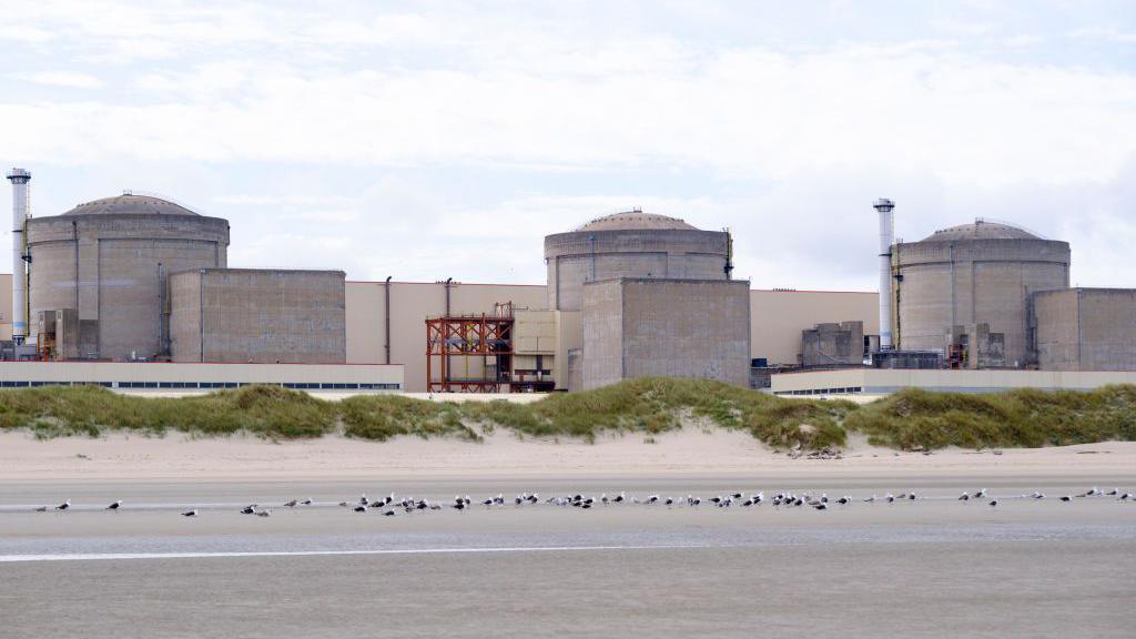 Jellyfish Swarm Triggers Partial Shutdown of Gravelines Nuclear Plant