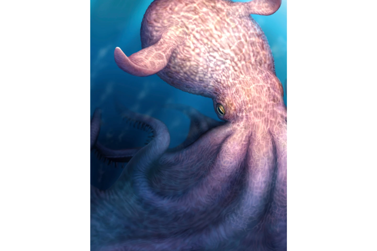 Unveiling Ancient Predators: The Giant Kraken-like Octopuses of the Dinosaur Era