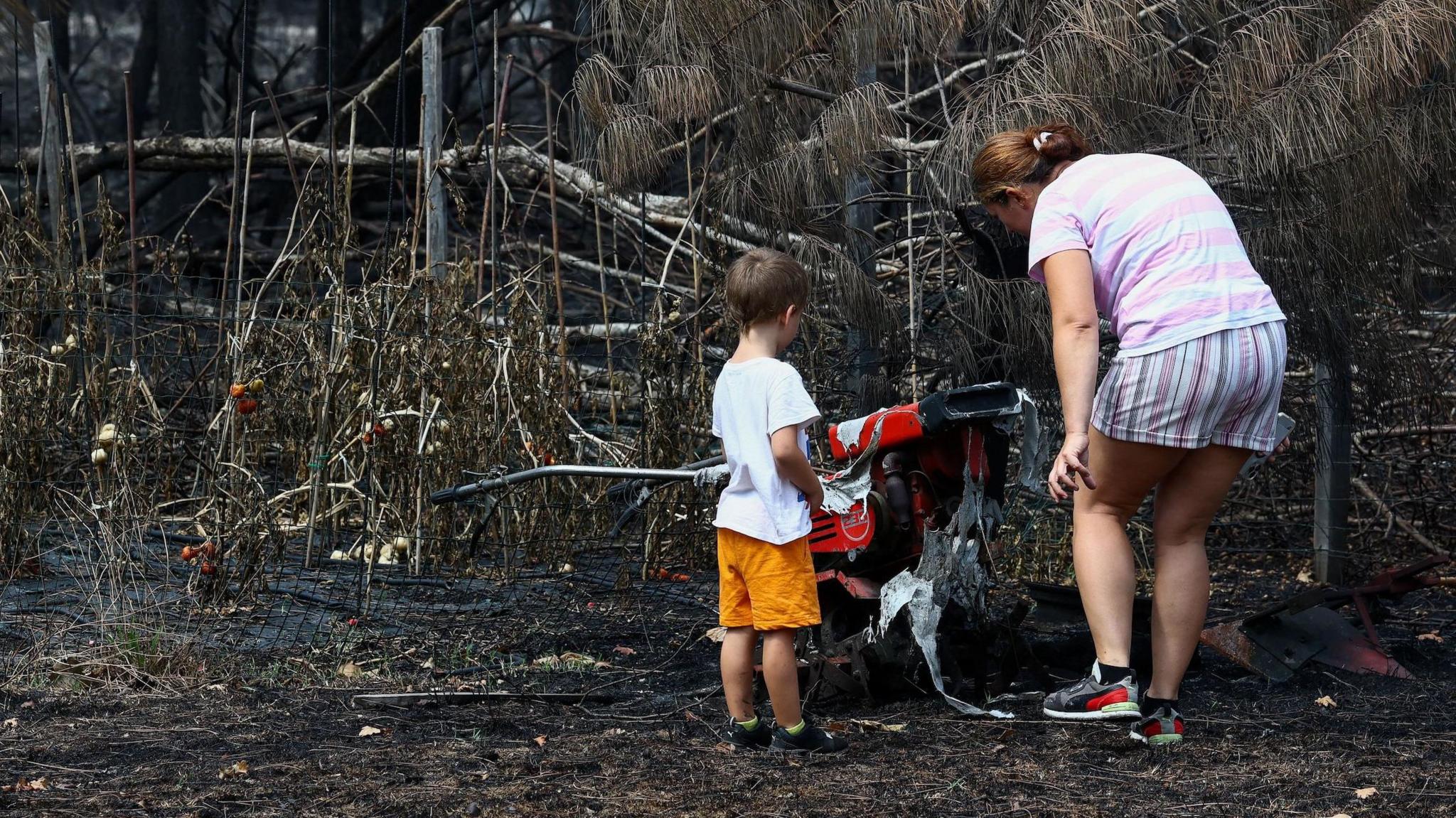 Wildfire in France Uncovers 400 WWII Shells, Firefighting Efforts Continue