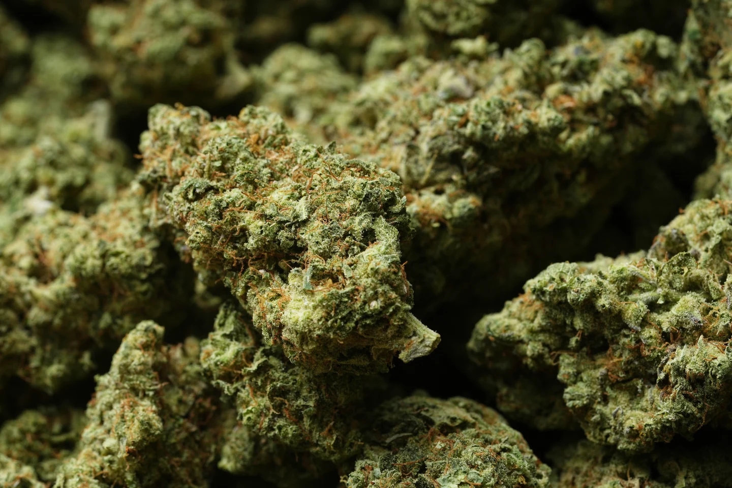 Trump's Medical Marijuana Reclassification: A New Era for the Cannabis Industry
