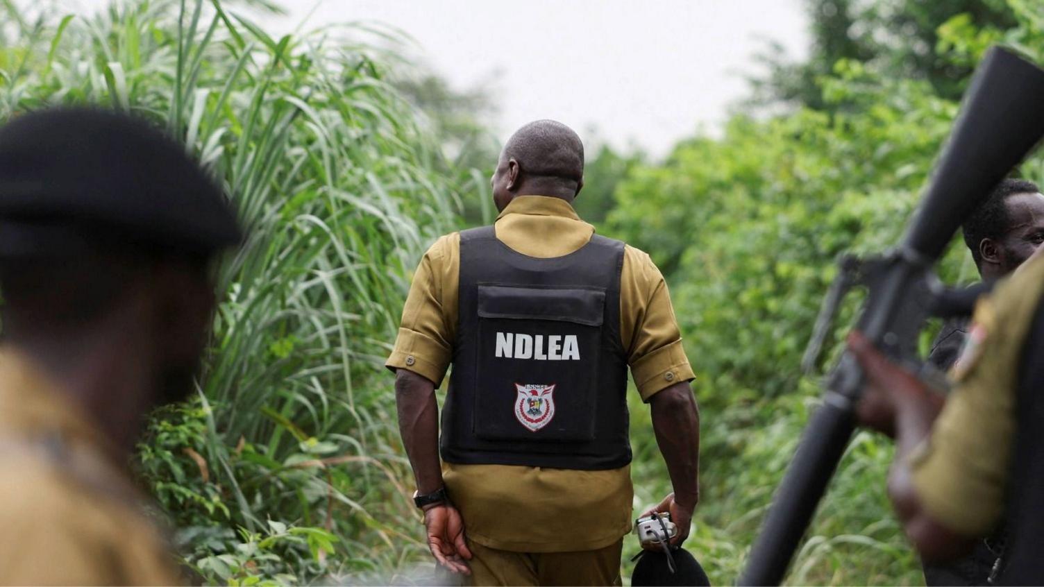 Inside Nigeria’s Hidden Meth Labs: Mexican Cartels Strike