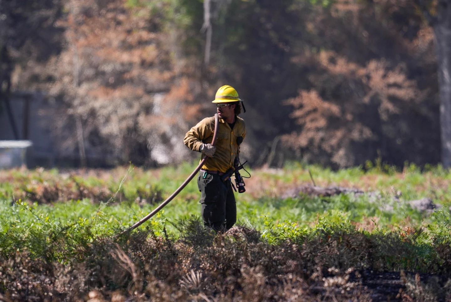 Georgia Wildfire Forces Evacuations as Crews Struggle to Contain Blaze