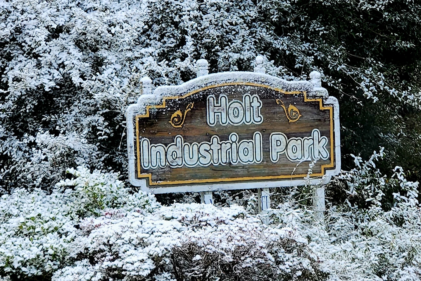 Rare Snow Falls in Florida for Second Year Running