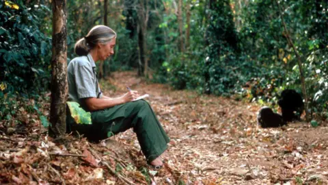 Remembering Dame Jane Goodall: A Legacy of Conservation