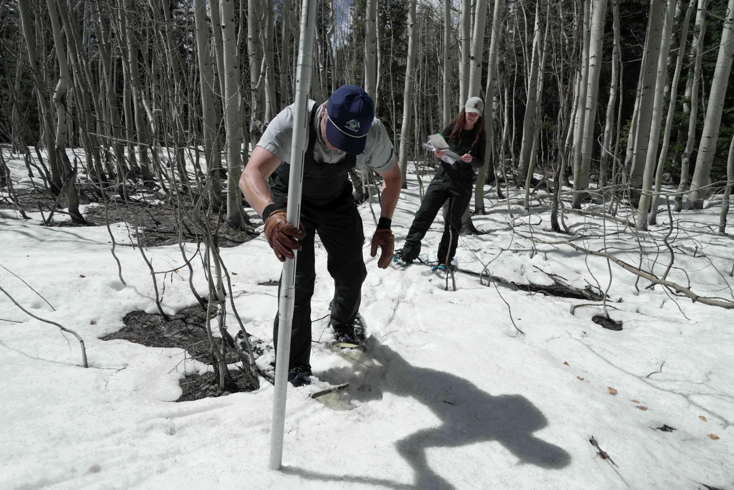 Colorado Faces Record Low Snowpack as Drought Risk Escalates