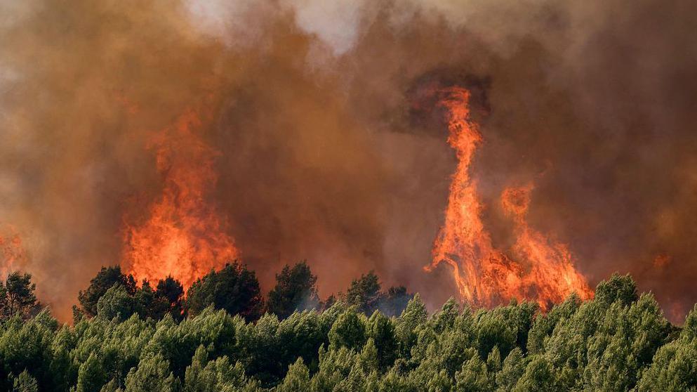 France Faces Over 2,000 Unaccounted‑for Deaths Amid Record Heatwave