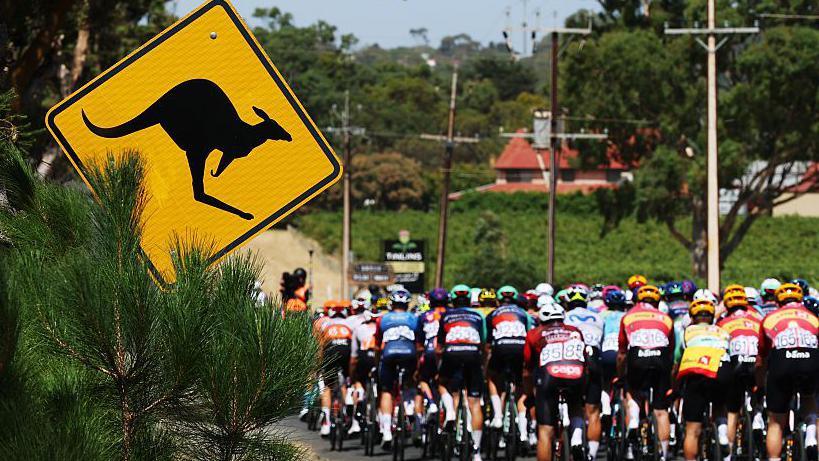 Jay Vine Triumphs at Tour Down Under Despite Wild Kangaroo Encounter