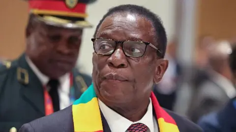 Zimbabwe's Presidential Election Controversy: A Nation Divided