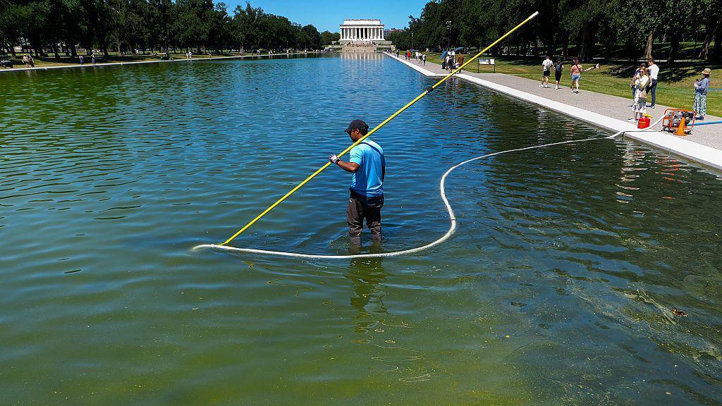 Olympian Davey Hearn Arrested Over Reflecting Pool Incident – He Denies It
