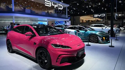 BYD Sees Bright Future Without U.S. Market Domination