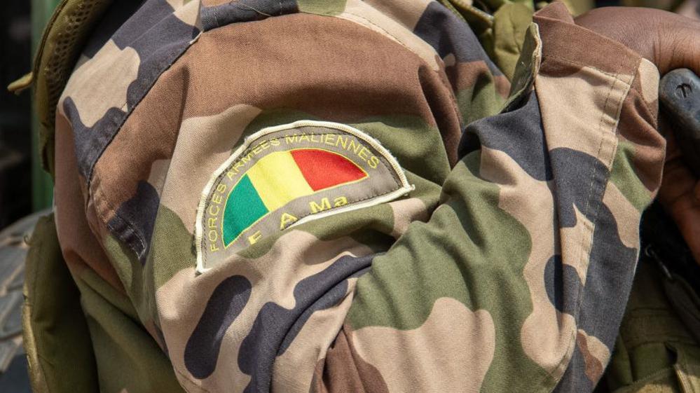 Dozens of militants killed in Mali base assault, army says