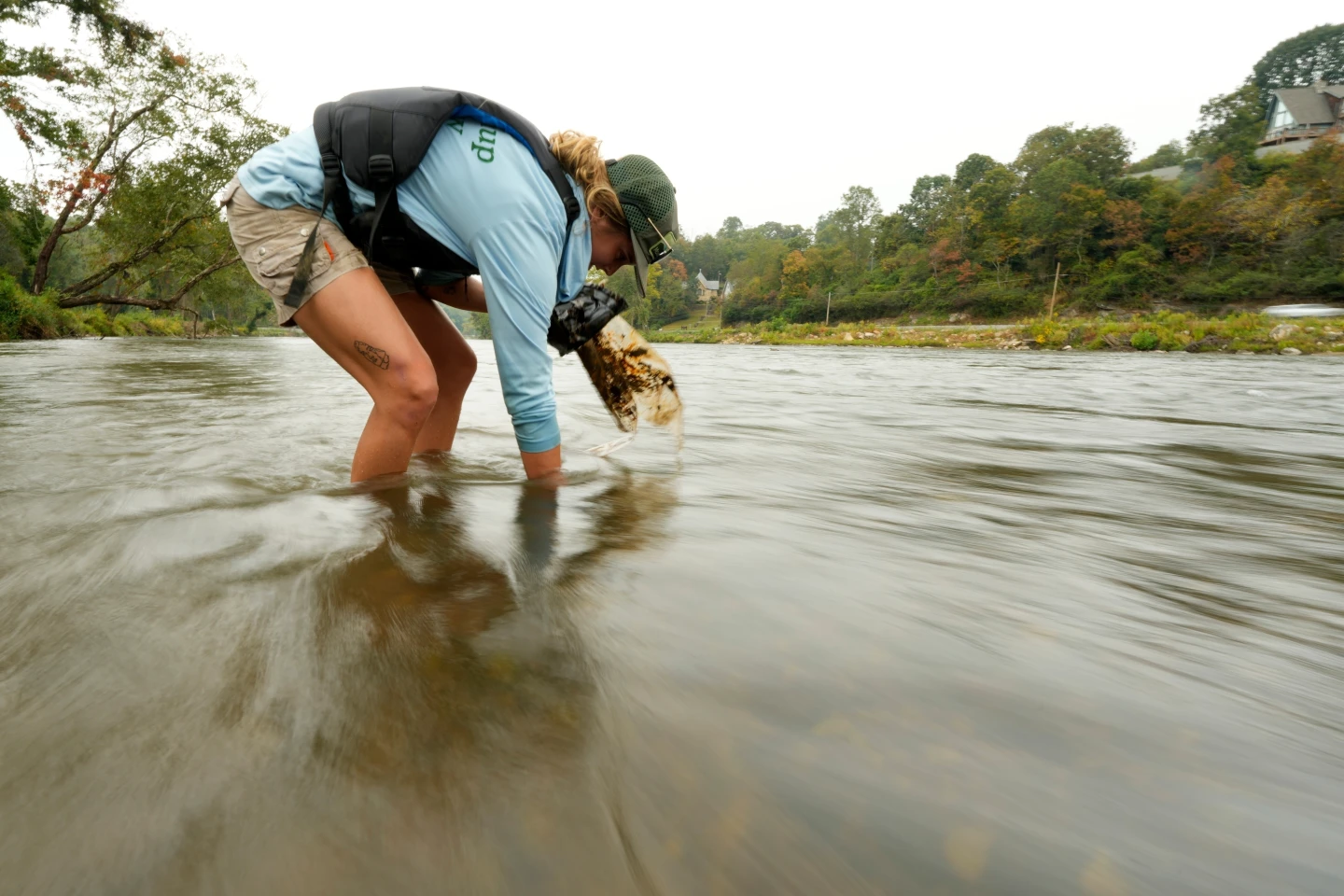 Cleanup Efforts in North Carolina Post Hurricane Helene: A Year Later