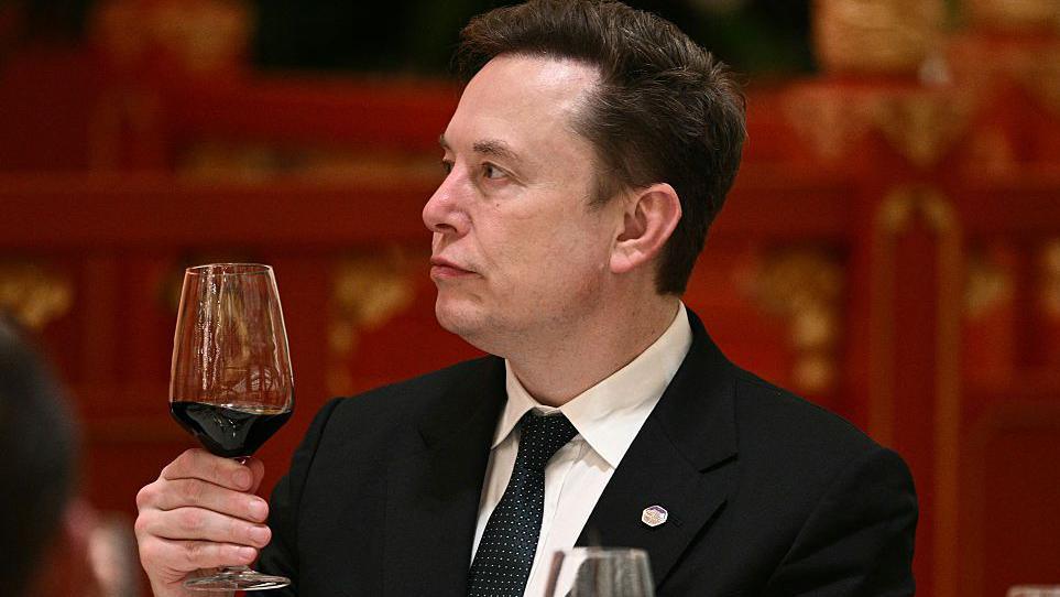 Elon Musk’s ‘Enjoy the Ride’ Take on AI Risks Amid OpenAI Hack Fallout