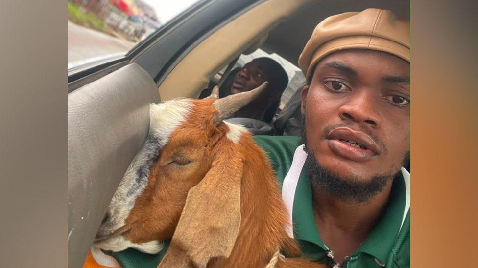 The Goat Is Now a Celebrity – How a Graduation Gift Went Viral