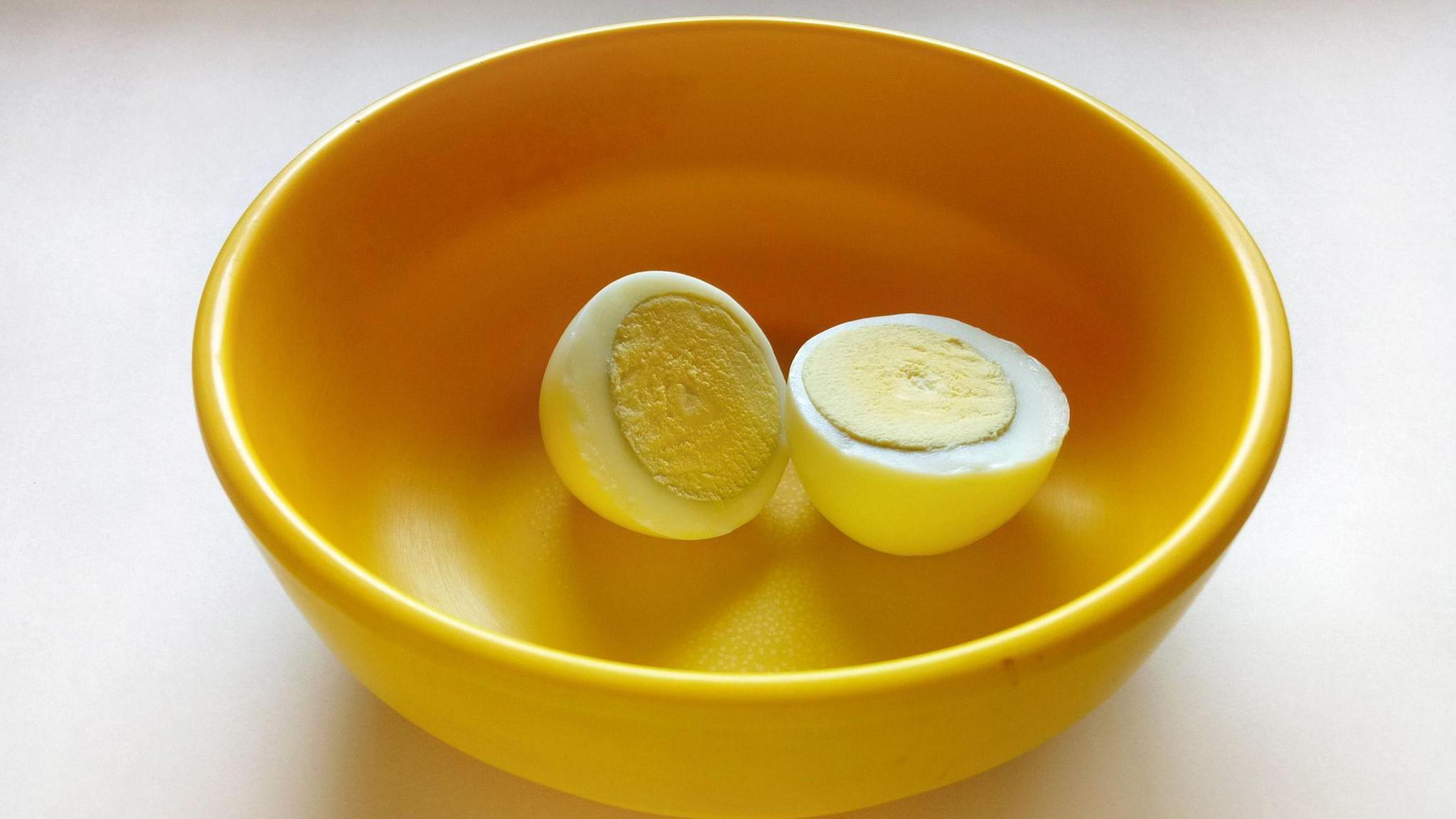 West Bengal to Replace Eggs With Vegetarian Meals in Schools, Sparking a Nationwide Debate