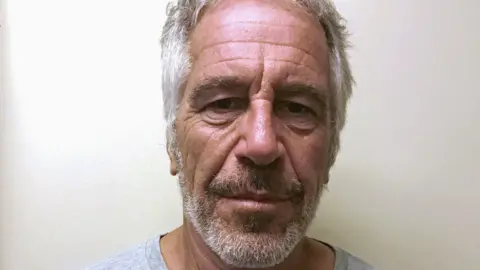 Limited Release of Epstein Investigation Files Ahead of Deadline